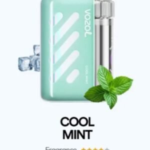 VOZOL VISTA 40000 PUFFS cool mint