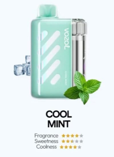 VOZOL VISTA 40000 PUFFS cool mint VOZOL VISTA 40000 PUFFS cool mint