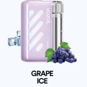 VOZOL VISTA 40000 PUFFS grape ice