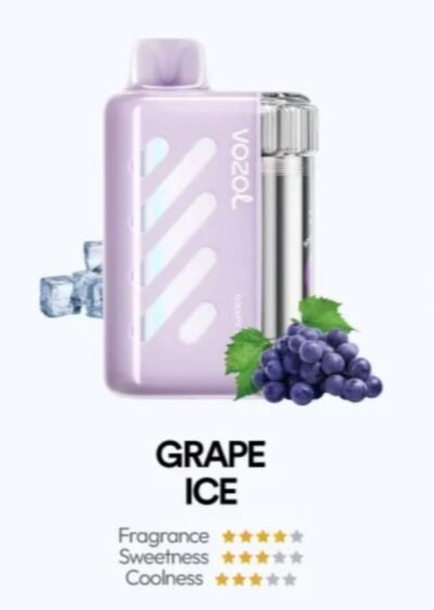 VOZOL VISTA 40000 PUFFS grape ice VOZOL VISTA 40000 PUFFS grape ice
