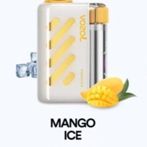 VOZOL VISTA 40000 PUFFS mango ice