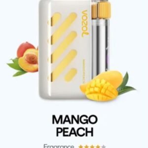 VOZOL VISTA 40000 PUFFS mango peach