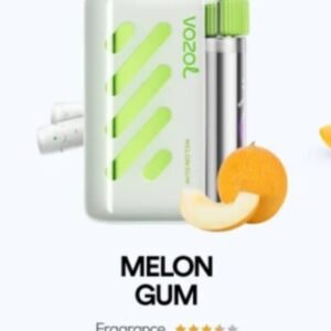 VOZOL VISTA 40000 PUFFS melon gum