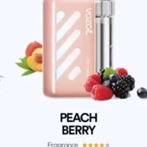 VOZOL VISTA 40000 PUFFS peach berry