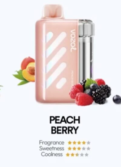 VOZOL VISTA 40000 PUFFS peach berry VOZOL VISTA 40000 PUFFS peach berry