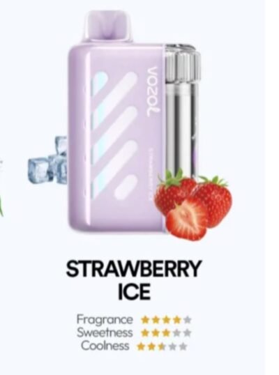 VOZOL VISTA 40000 PUFFS strawberry ice VOZOL VISTA 40000 PUFFS strawberry ice