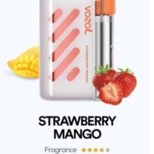 VOZOL VISTA 40000 PUFFS strawberry mango