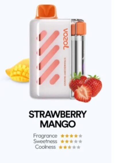 VOZOL VISTA 40000 PUFFS strawberry mango VOZOL VISTA 40000 PUFFS strawberry mango