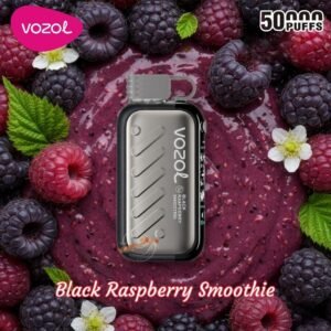 Vozol Gear Ice & Sweet Control 50K Disposable Vape