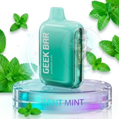 GEEK BAR PCE 40000 Puffs Disposable Vape mint mint